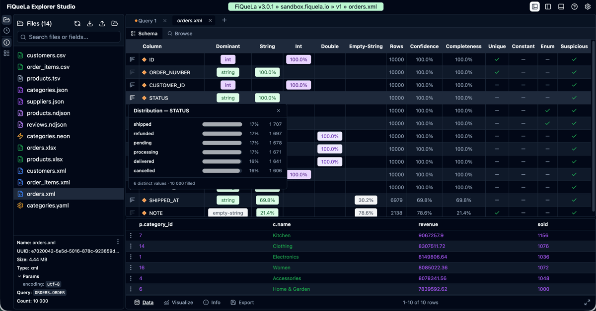 Explorer Studio — schema browser with column distribution